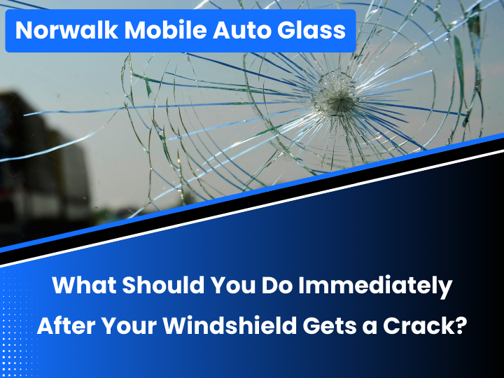 What to Do After Windshield Cracks